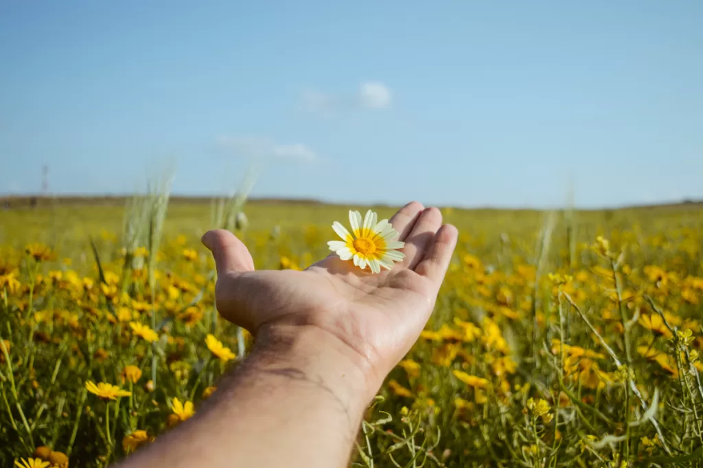 Frases para come&ccedil;ar o dia com for&ccedil;a interior e plena confian&ccedil;a.
